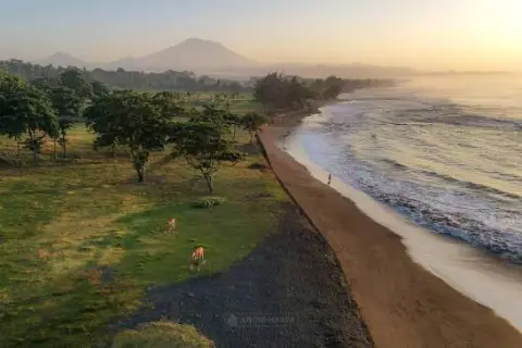 114 Ares Freehold Land in Saba Beach, Gianyar