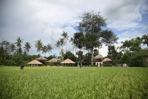 40 Ares Pink Zone Land 150m from Seseh Beach - Leasehold and Freehold