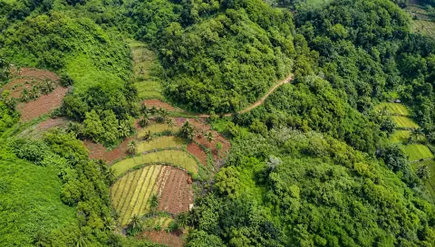Beautiful 60 Ares Land near Krokoh Beach, Gunungkidul