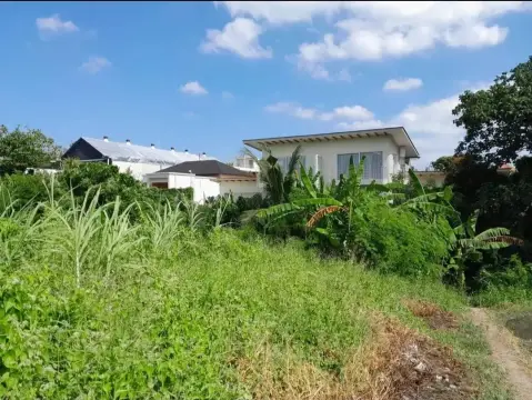 6.9 Are Leasehold Land in Seseh-Munggu with Ricefield View