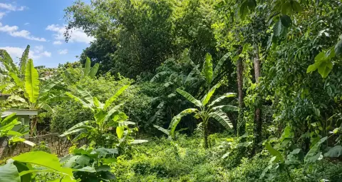 8.2 Ares Lush Green Leasehold Land in Tumbak Bayuh