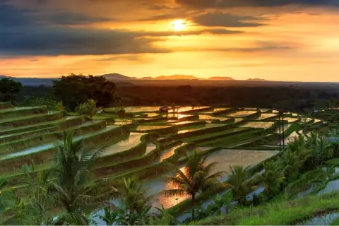 1.25 Hectares Riverfront Land near Tanah Lot & Nunu Eco Resort