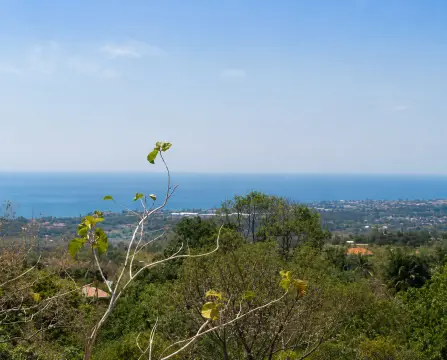 17.75 Ares Sea View Land in Kayu Putih Hills, Lovina