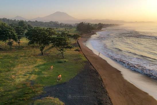 114 Ares Freehold Land in Saba Beach, Gianyar 114 Ares Freehold Land in Saba Beach, Gianyar