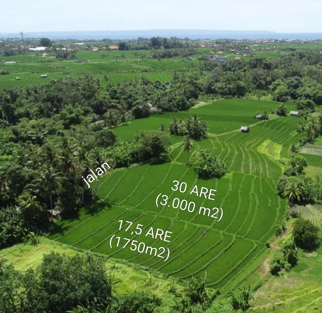 Twin Big Plots of Freehold Lands in Nyanyi very near Nuanu