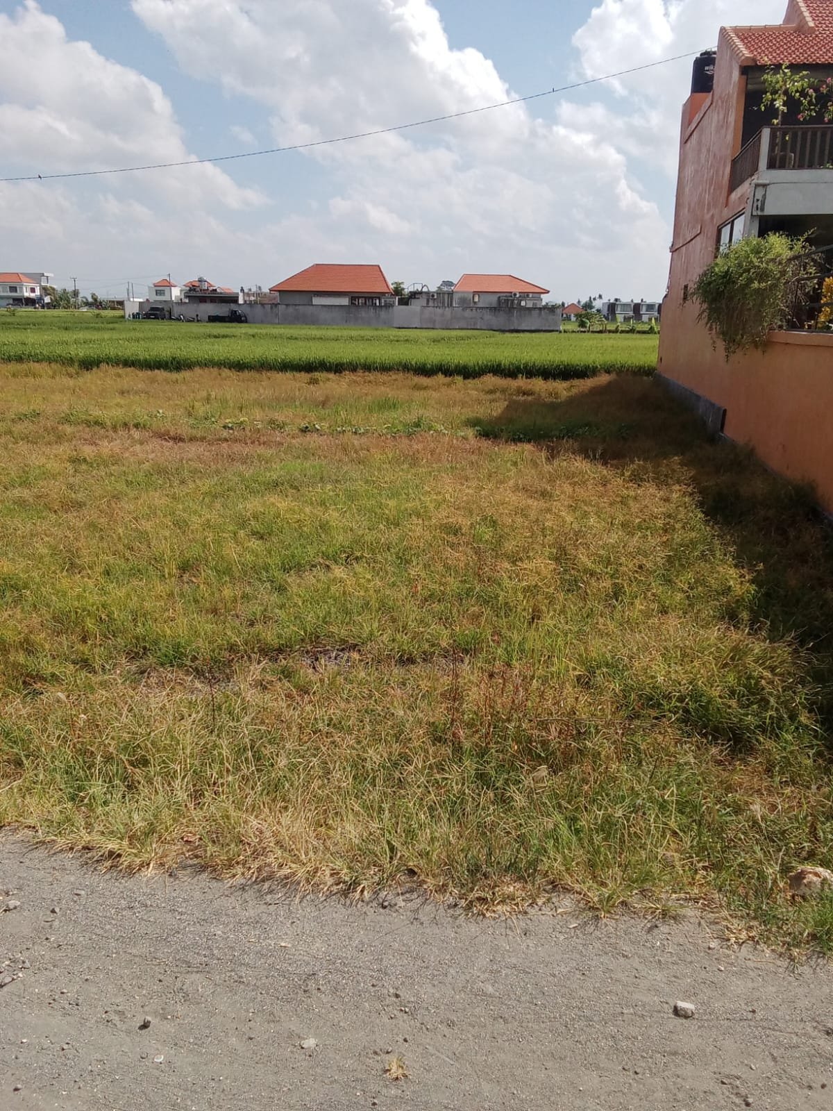 5 Ares Pink Zone only 800m from Cemagi Beach for Leasehold
