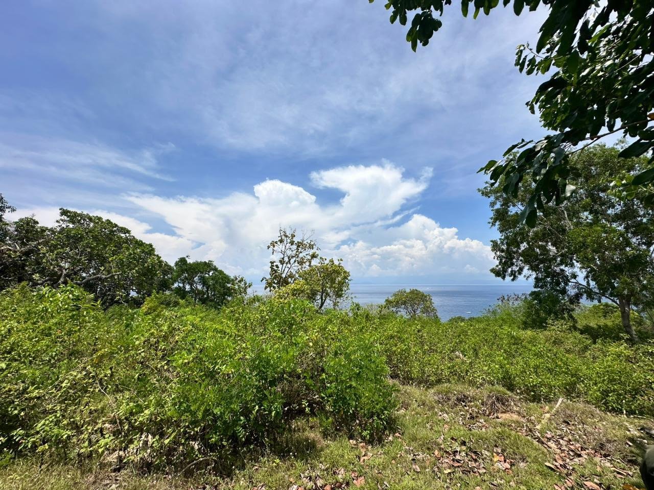 6.5 Hectares Ocean-View Land Near Mola Mola Spot Nusa Penida 6.5 Hectares Ocean-View Land Near Mola Mola Spot Nusa Penida