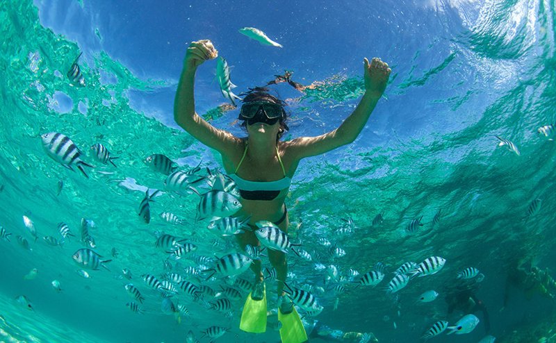 20 Ares Beachfront Lovina direct access to Dolphins & Snorkeling