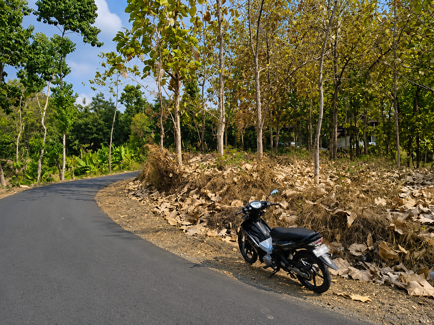 17.75 Ares Sea View Land in Kayu Putih Hills, Lovina 17.75 Ares Sea View Land in Kayu Putih Hills, Lovina