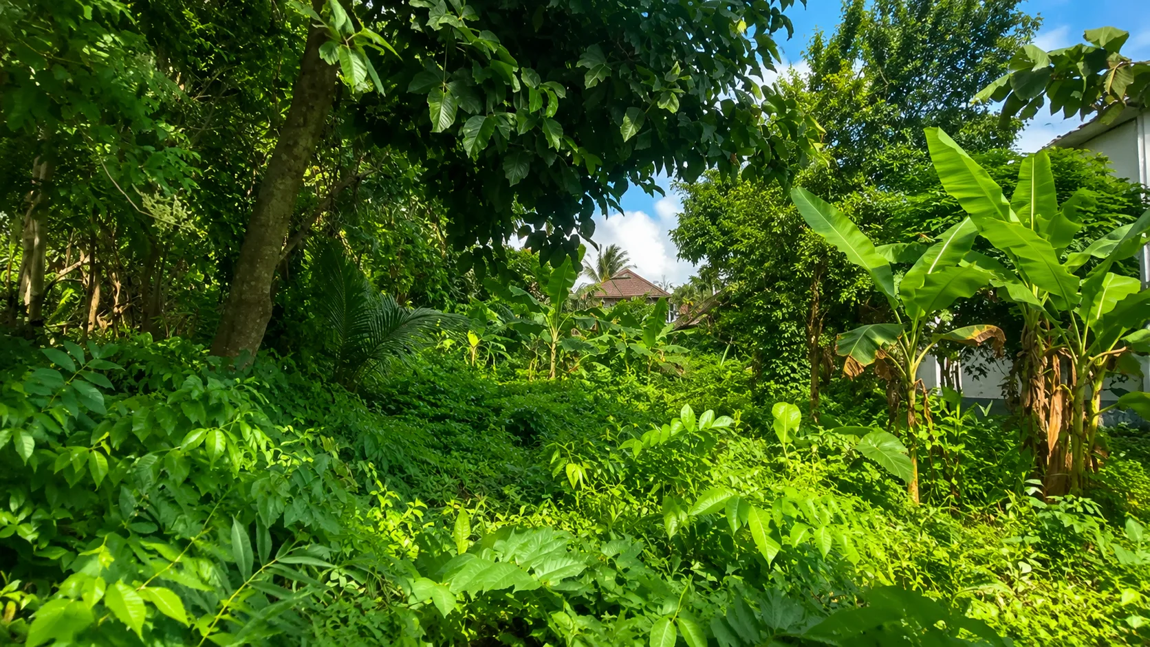 8.2 Ares Lush Green Leasehold Land in Tumbak Bayuh 8.2 Ares Lush Green Leasehold Land in Tumbak Bayuh