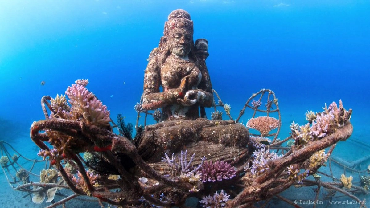 42.7 Ares Beachfront Land in Pemuteran Dive Area North Bali 42.7 Ares Beachfront Land in Pemuteran Dive Area North Bali