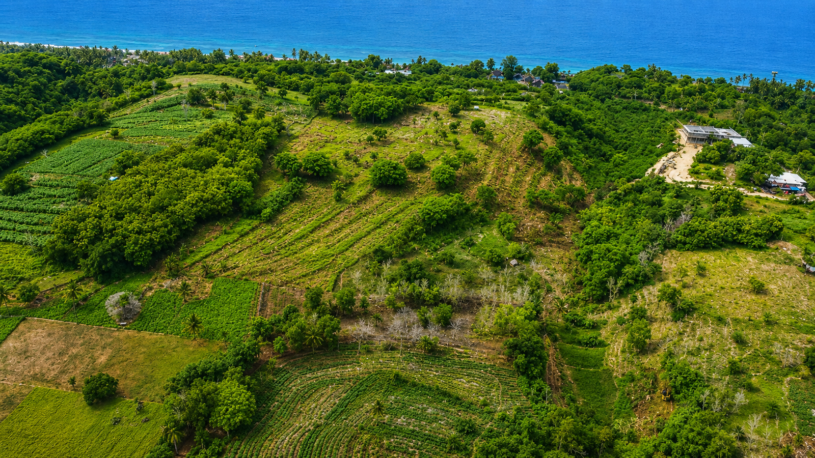 6.5 Hectares Ocean-View Land Near Mola Mola Spot Nusa Penida 6.5 Hectares Ocean-View Land Near Mola Mola Spot Nusa Penida