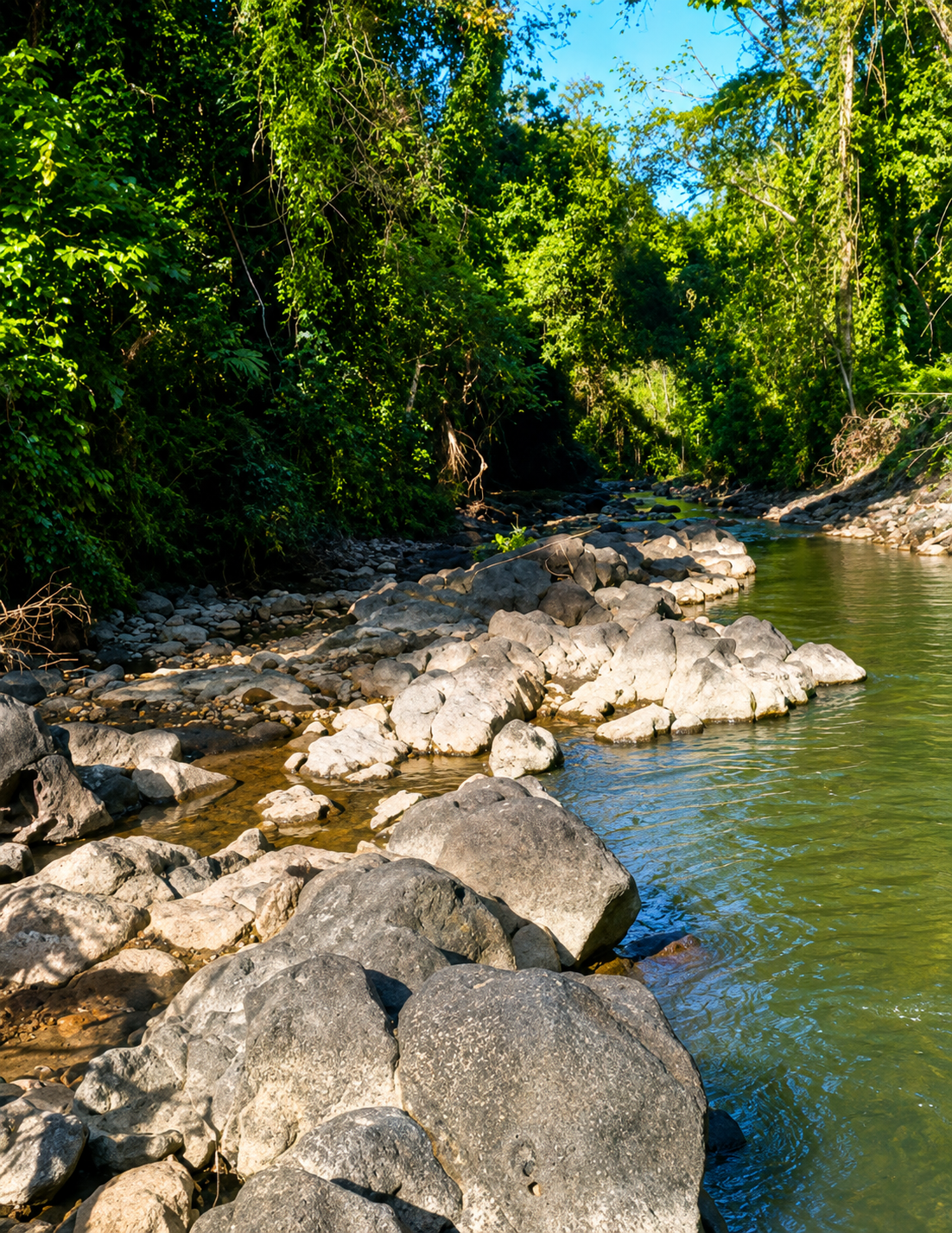 1.25 Hectares Riverfront Land near Tanah Lot & Nunu Eco Resort