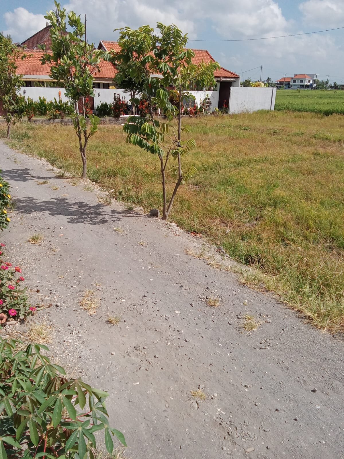 5 Ares Pink Zone only 800m from Cemagi Beach for Leasehold