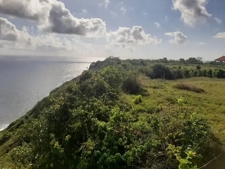 2.97 Hectares Clifftop Land in Nyang Nyang Pecatu Uluwatu with Indian Ocean Views 2.97 Hectares Clifftop Land in Nyang Nyang Pecatu Uluwatu with Indian Ocean Views