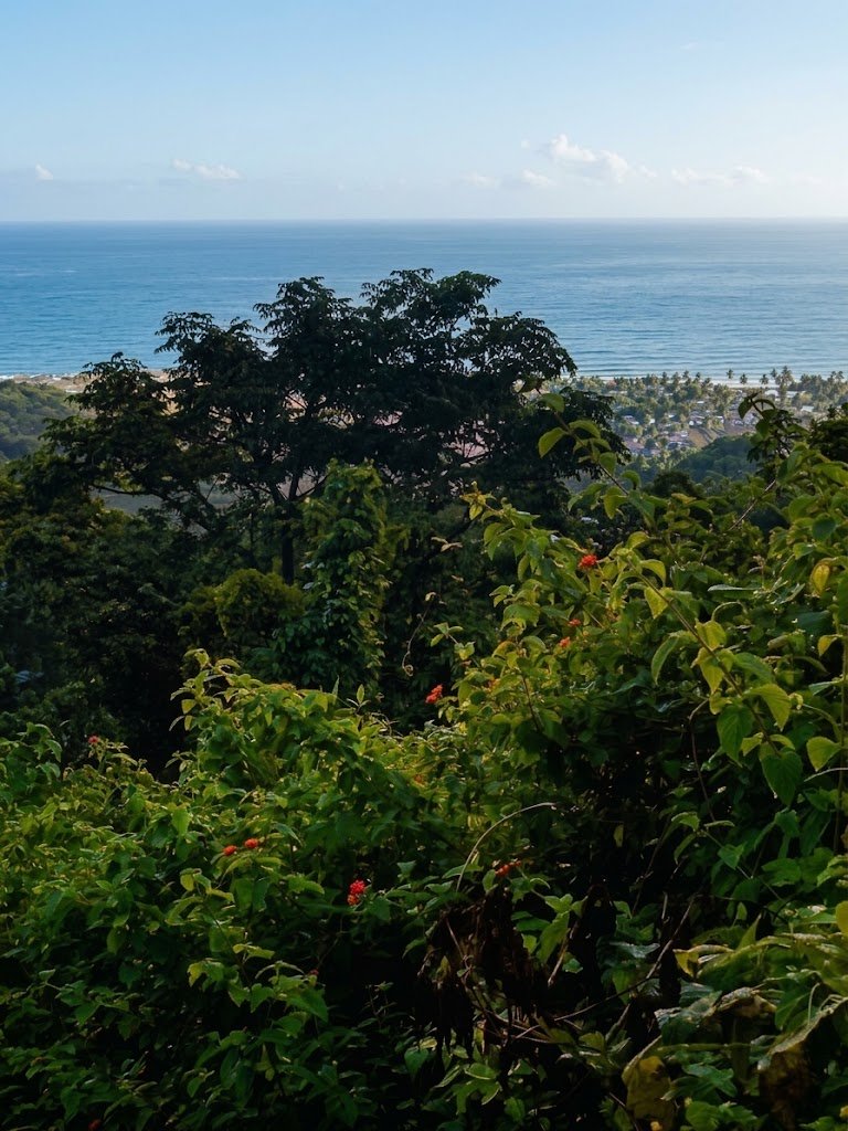 58.4 Ares Land with Ocean, Hill & Sunrise Views near Lovina 58.4 Ares Land with Ocean, Hill & Sunrise Views near Lovina