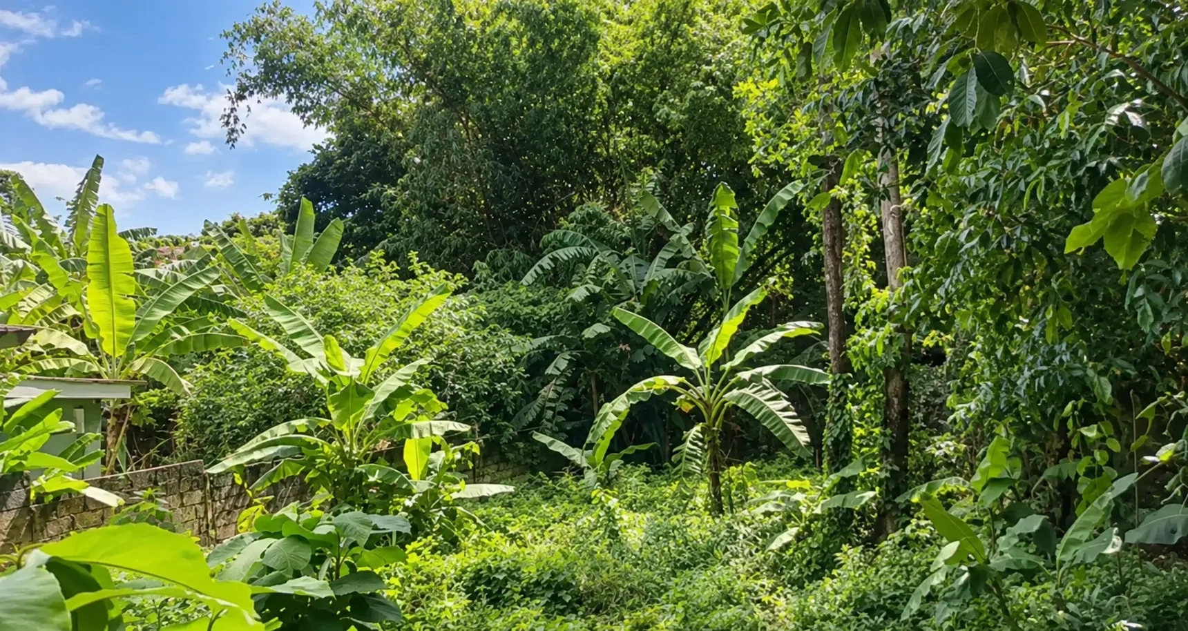 8.2 Ares Lush Green Leasehold Land in Tumbak Bayuh 8.2 Ares Lush Green Leasehold Land in Tumbak Bayuh