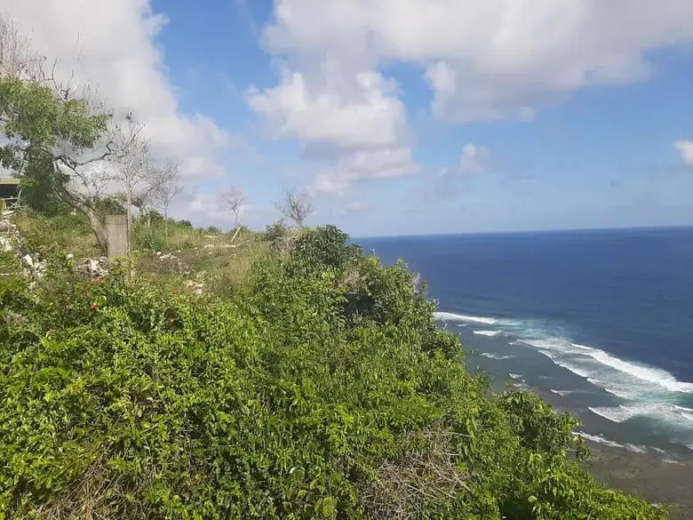 2.97 Hectares Clifftop Land in Nyang Nyang Pecatu Uluwatu with Indian Ocean Views 2.97 Hectares Clifftop Land in Nyang Nyang Pecatu Uluwatu with Indian Ocean Views