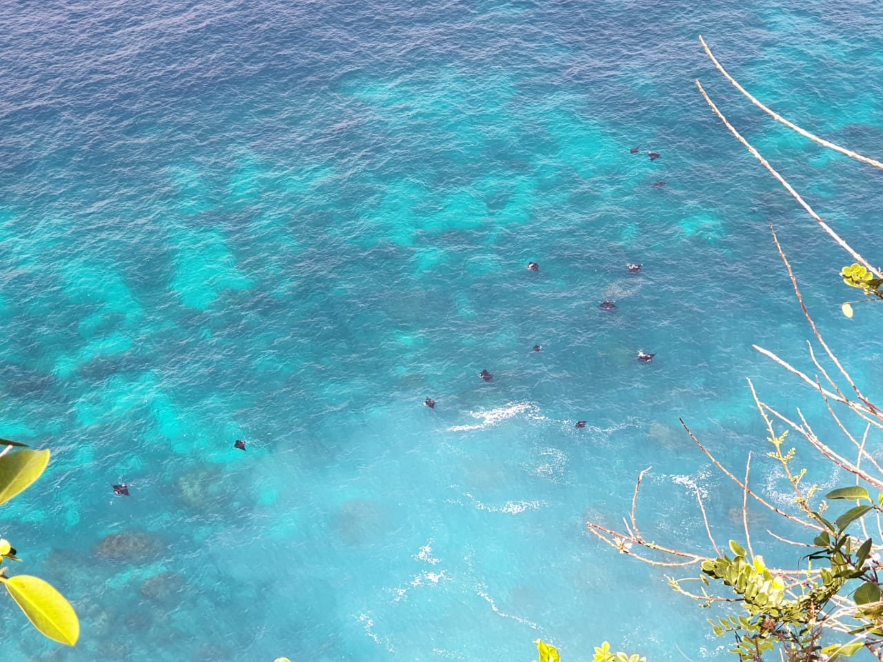 Gorgeous Oceanview Clifftop 1 Hectare Land in Nusa Penida