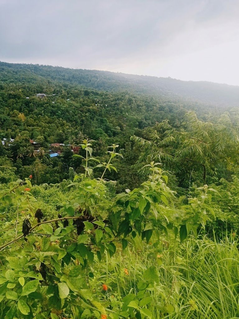 58.4 Ares Land with Ocean, Hill & Sunrise Views near Lovina 58.4 Ares Land with Ocean, Hill & Sunrise Views near Lovina