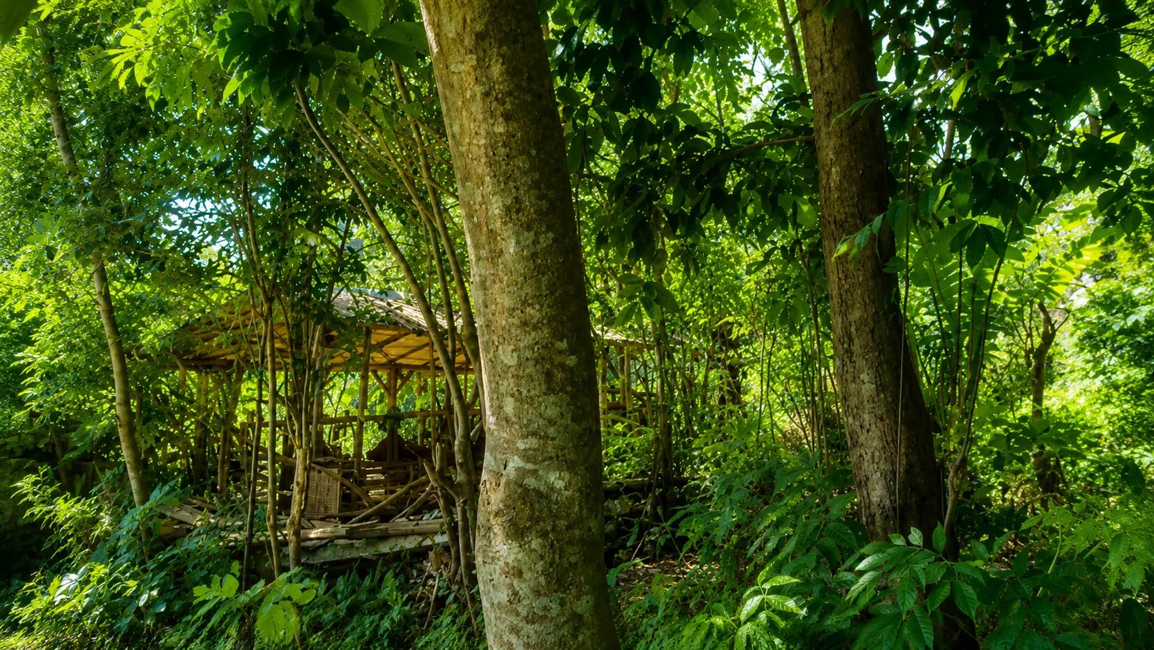 8.2 Ares Lush Green Leasehold Land in Tumbak Bayuh 8.2 Ares Lush Green Leasehold Land in Tumbak Bayuh