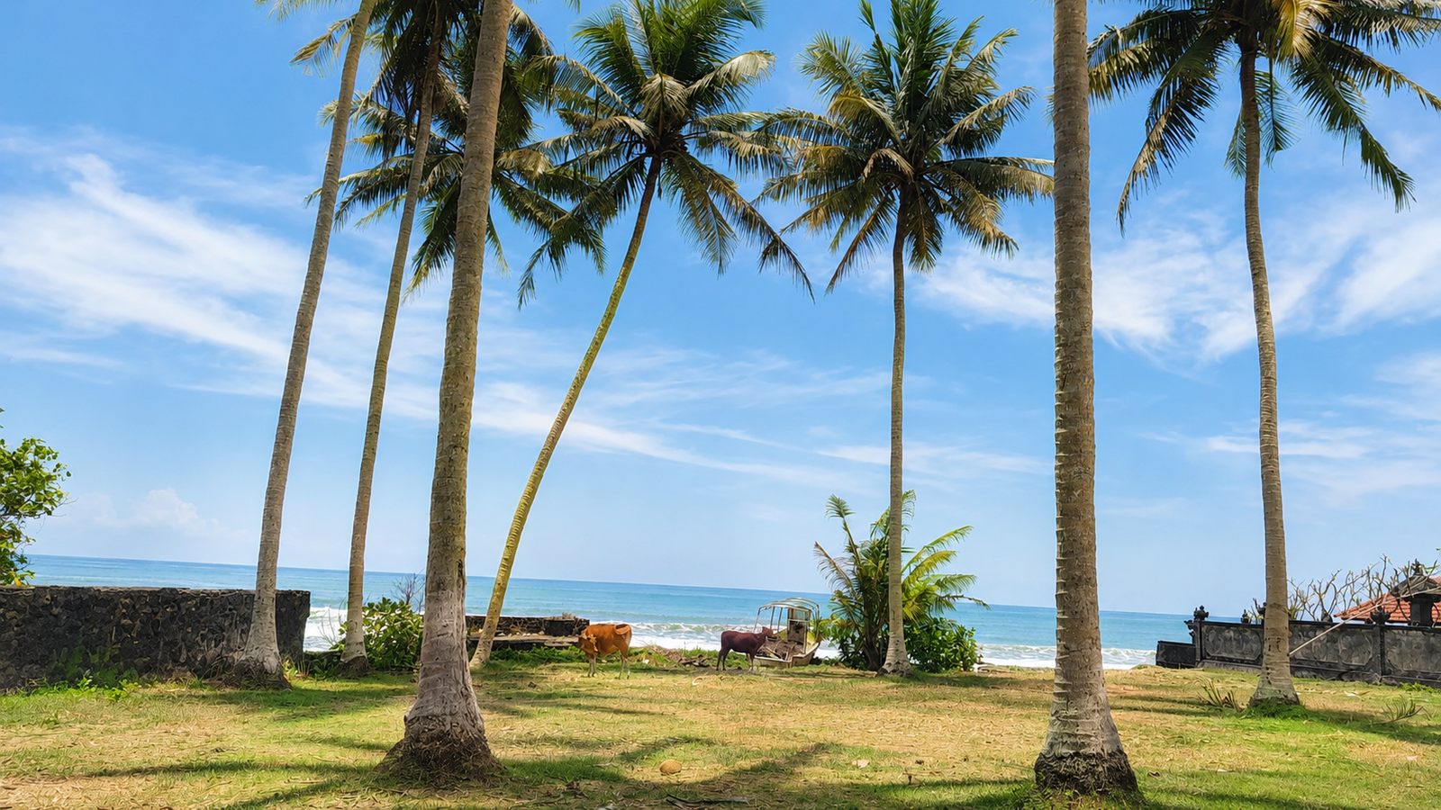 Beachfront Pasut Beach Tabanan 20 ares Freehold with Best Sunset View Beachfront Pasut Beach Tabanan 20 ares Freehold with Best Sunset View