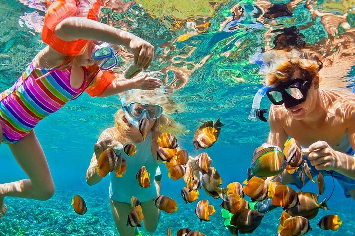 20 Ares Beachfront Lovina direct access to Dolphins & Snorkeling 20 Ares Beachfront Lovina direct access to Dolphins & Snorkeling