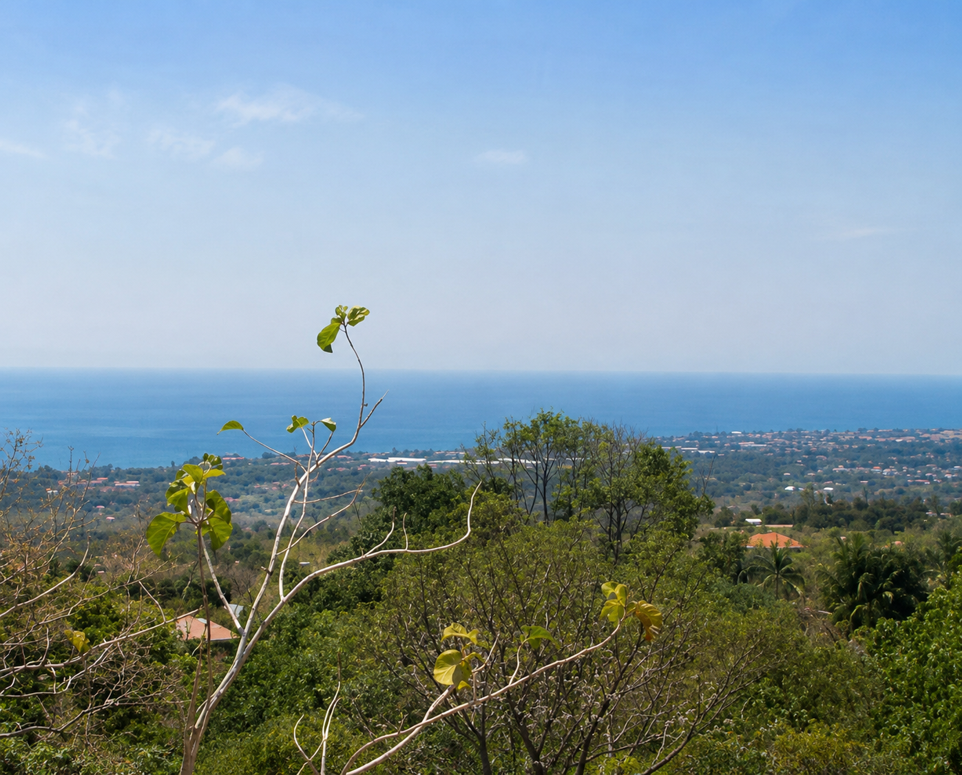 17.75 Ares Sea View Land in Kayu Putih Hills, Lovina 17.75 Ares Sea View Land in Kayu Putih Hills, Lovina