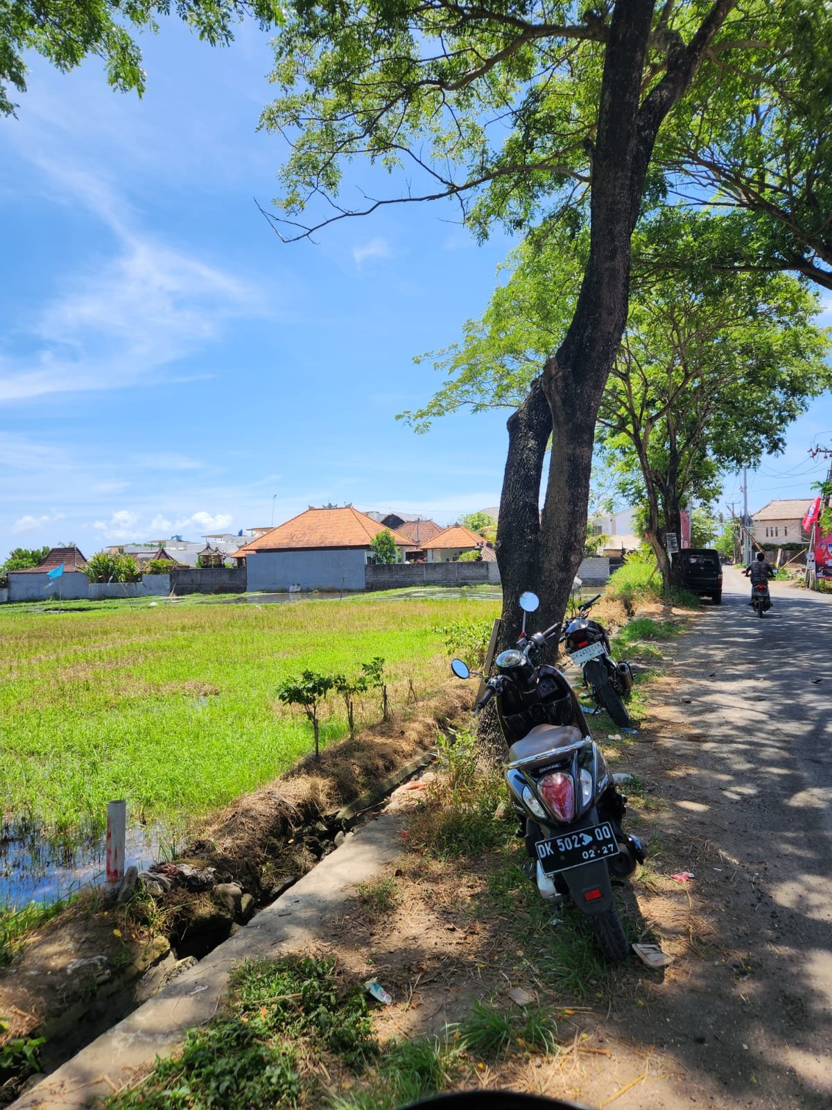 40 Ares Pink Zone Land 150m from Seseh Beach - Leasehold and Freehold 40 Ares Pink Zone Land 150m from Seseh Beach - Leasehold and Freehold
