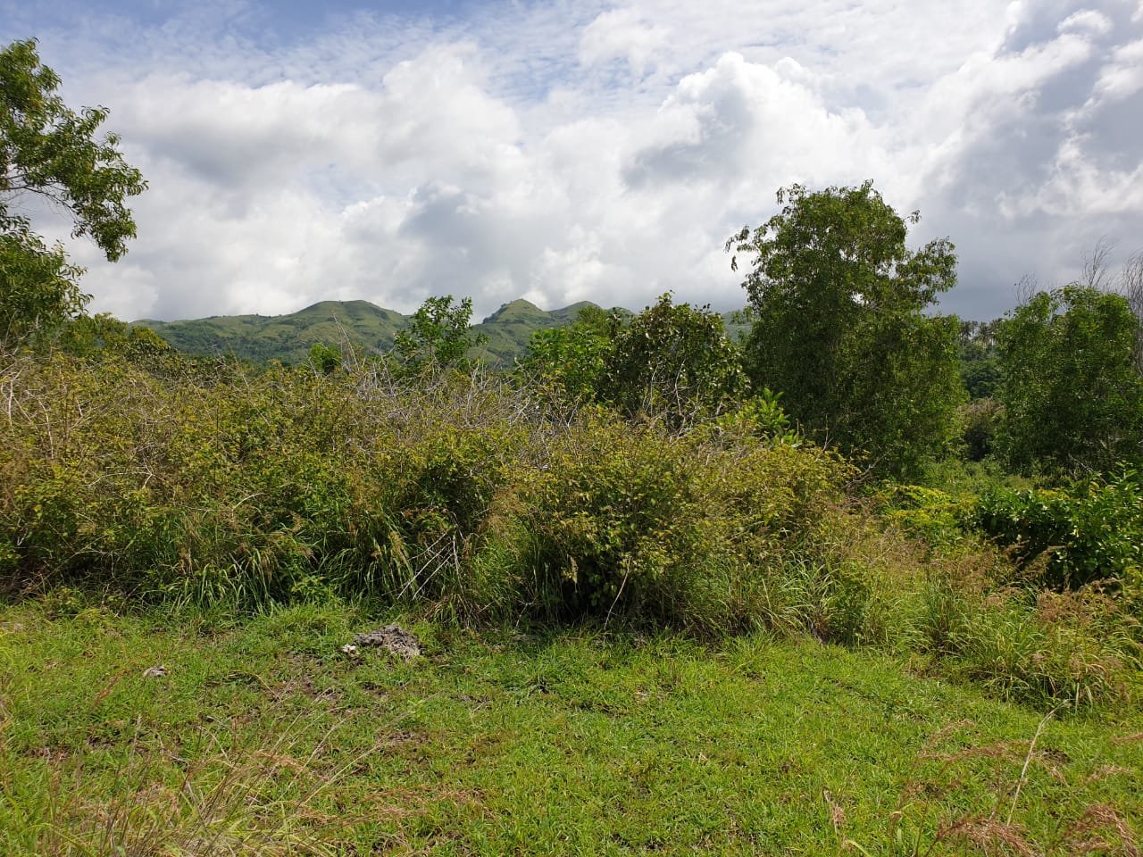 World-Class View 1.3 Hectares Nusa Penida Cliff-Front Land with Manta Point Views