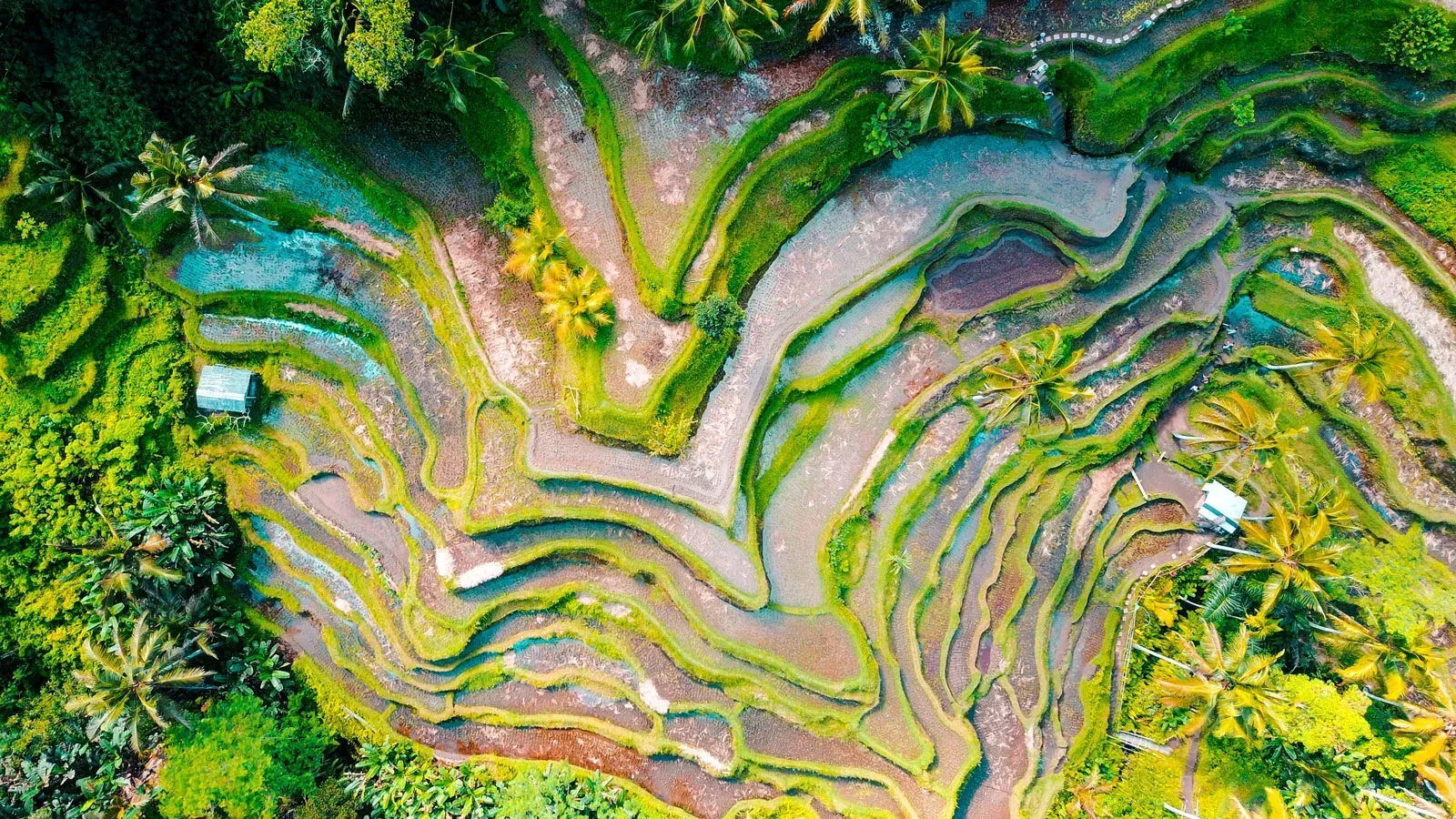 Ubud