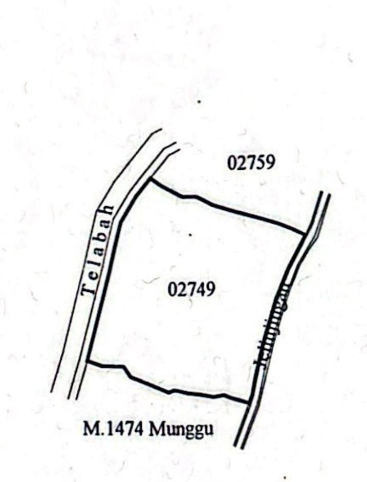 6.9 Are Leasehold Land in Seseh-Munggu with Ricefield View 6.9 Are Leasehold Land in Seseh-Munggu with Ricefield View